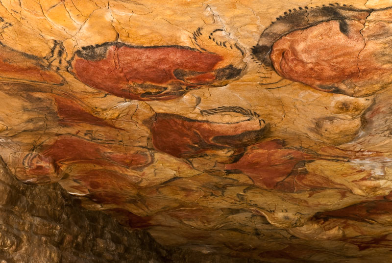 Imagen de las cuevas de Altamira. / Museo de Altamira, D. Rodríguez